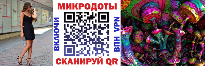Купить  Ленинск-Кузнецкий  Псилоцибиновые грибы GOLDEN TEACHER 