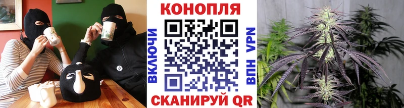 Каннабис THC 21%  Купить закладки  Ленинск-Кузнецкий